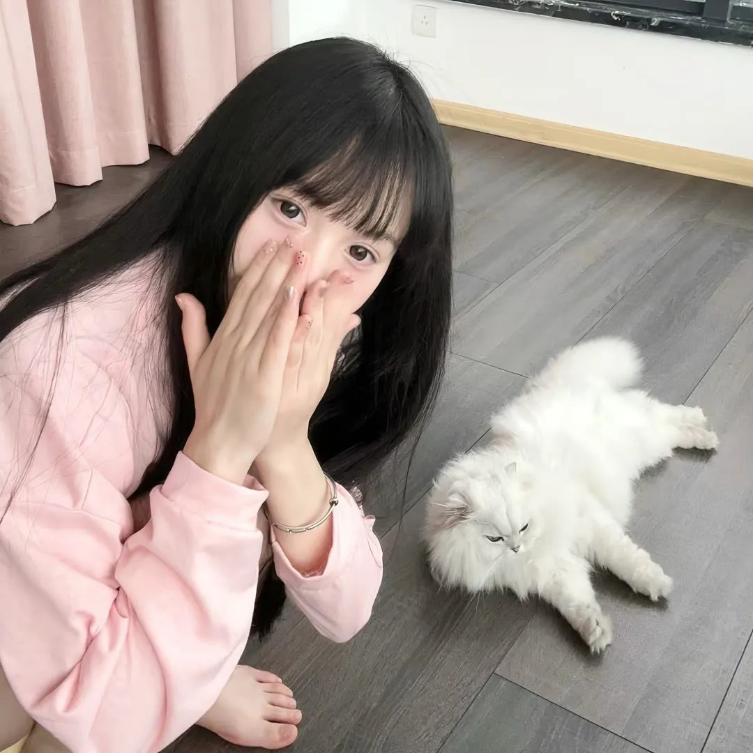 猛虎出笼
